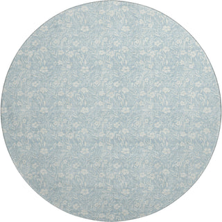 Dalyn Soft Essentials SE4 Sky Machine Washable Area Rug Round Main Image