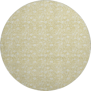 Dalyn Soft Essentials SE4 Wheat Machine Washable Area Rug Round Main Image