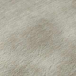 Dalyn Soft Essentials SE6 Beige Area Rug Swatch Image