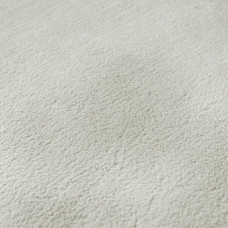 Dalyn Soft Essentials SE6 Ivory Area Rug Swatch Image