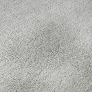 Dalyn Soft Essentials SE6 Silver Area Rug Swatch Image