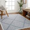 Livabliss San diego SFG-2320 Area Rug Room Scene