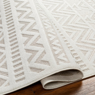 Livabliss San diego SFG-2323 Area Rug Pile
