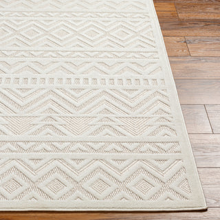 Livabliss San diego SFG-2323 Area Rug Angle