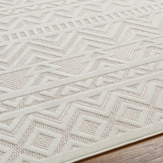 Livabliss San diego SFG-2323 Area Rug Detail