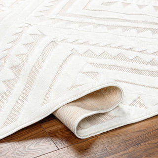 Livabliss San diego SFG-2353 Area Rug Pile