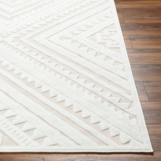Livabliss San diego SFG-2353 Area Rug Angle