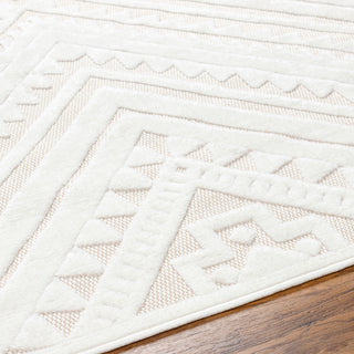 Livabliss San diego SFG-2353 Area Rug Detail