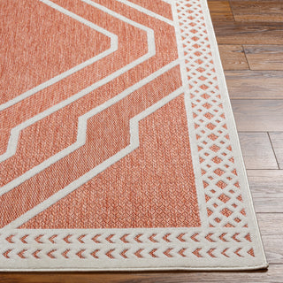 Livabliss San diego SFG-2357 Area Rug Angle