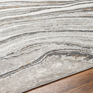 Livabliss San Francisco SFO-2305 Area Rug Detail