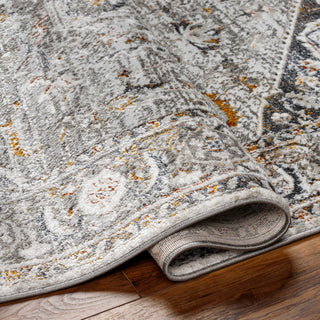Livabliss San Francisco SFO-2326 Area Rug Pile