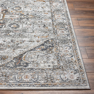 Livabliss San Francisco SFO-2326 Area Rug Angle
