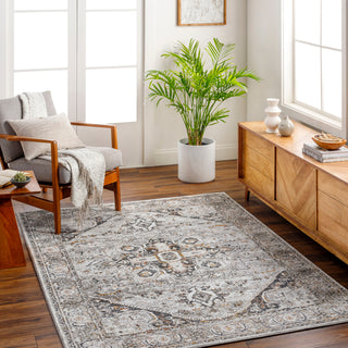 Livabliss San Francisco SFO-2326 Area Rug Room Scene Feature