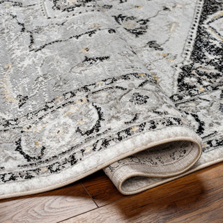 Livabliss San Francisco SFO-2328 Area Rug Pile