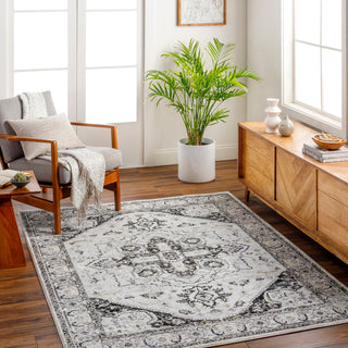 Livabliss San Francisco SFO-2328 Area Rug Room Scene Feature
