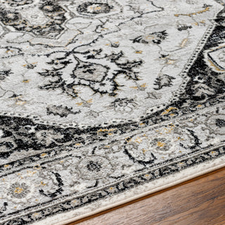 Livabliss San Francisco SFO-2328 Area Rug Detail