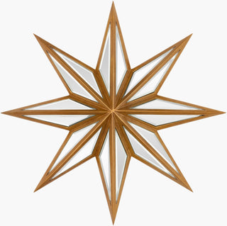 Surya Starfish SFS-001 Main