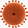 Surya Serengeti SGI-006 Rust main image