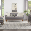 Nourison Silk Shadows SHA19 Ivory/Grey Area Rug by Reserve Collection