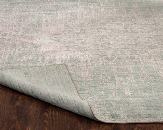 Ancient Boundaries Shore SHO-836 Misty Green/Blush Area Rug Closeup Image