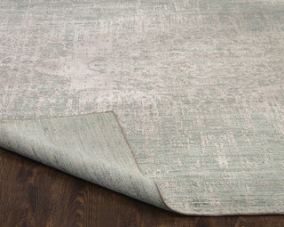 Ancient Boundaries Shore SHO-836 Misty Green/Blush Area Rug Alternative Image