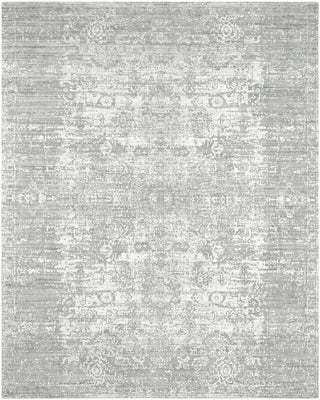 Ancient Boundaries Shore SHO-837 Pearl Grey Area Rug Main Image