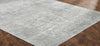 Ancient Boundaries Shore SHO-837 Pearl Grey Area Rug Alternative Image