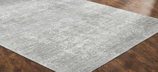 Ancient Boundaries Shore SHO-837 Pearl Grey Area Rug Alternative Image