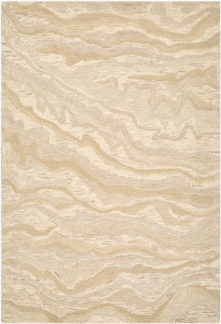 Livabliss Sophistica SHT-2303 Area Rug main image