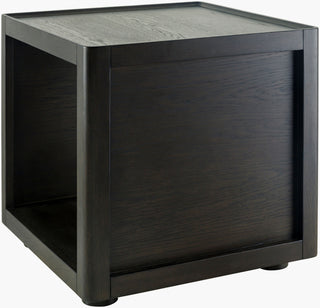 Surya Shaye SHYE-002 Black Furniture Main Image