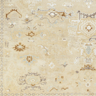 Surya Shiraz SHZ-2300 Area Rug Swatch