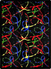 Joy Carpets Kaleidoscope Silly String Multi Area Rug