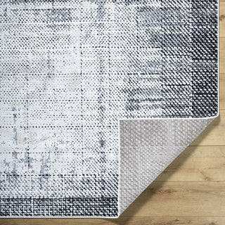 Livabliss Siyah SIY-2306 Light Silver Area Rug Pile