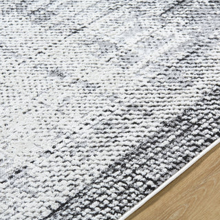 Livabliss Siyah SIY-2306 Light Silver Area Rug Detail