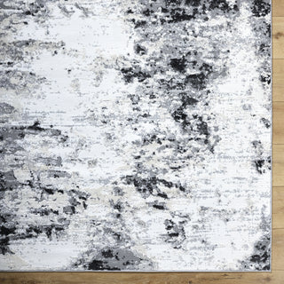 Livabliss Siyah SIY-2309 Light Silver Area Rug Detail Image