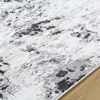 Livabliss Siyah SIY-2309 Light Silver Area Rug Detail