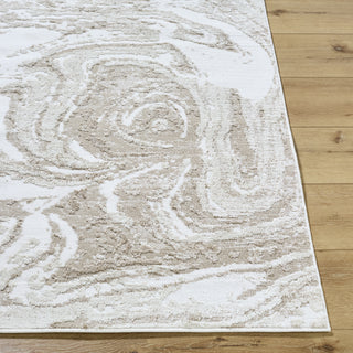 Livabliss Siyah SIY-2310 Light Silver Area Rug Angle