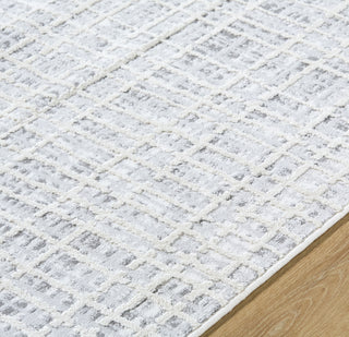 Livabliss Siyah SIY-2315 Light Silver Area Rug Detail