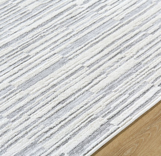 Livabliss Siyah SIY-2317 Light Silver Area Rug Detail