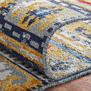 Ancient Boundaries Sena Color SEN-1186 Multi Area Rug Texture Image