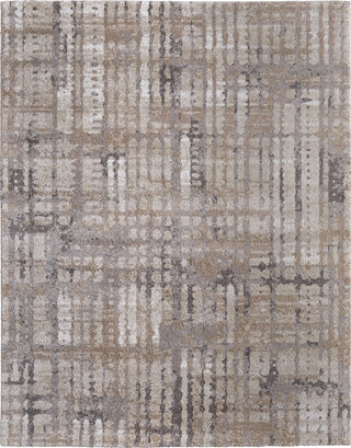 Feizy Skyview 39QBF Brown/Tan/Ivory Area Rug main image