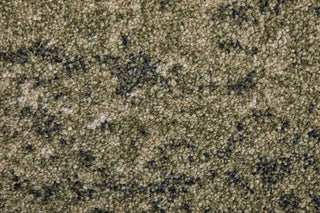 Feizy Skyview 39QCF Green/Tan Area Rug Corner Image