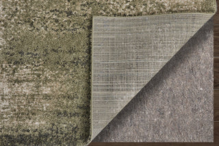 Feizy Skyview 39QCF Green/Tan Area Rug Detail Image