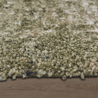 Feizy Skyview 39QCF Green/Tan Area Rug Lifestyle Image