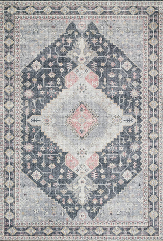 Loloi II Skye SKY-02 Charcoal/Multi Area Rug Main Image