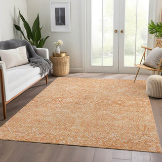 Dalyn Solace SL12 Salmon Machine Washable Area Rug Lifestyle Image Feature