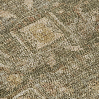 Dalyn Solace SL14 Fern Machine Washable Area Rug Swatch Image