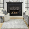 Nourison Splendid SLD01 Light Grey Area Rug Room Image Feature
