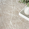 Nourison Splendid SLD02 Mocha Ivory Area Rug Corner Image