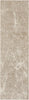 Nourison Splendid SLD02 Mocha Ivory Area Rug Main Image